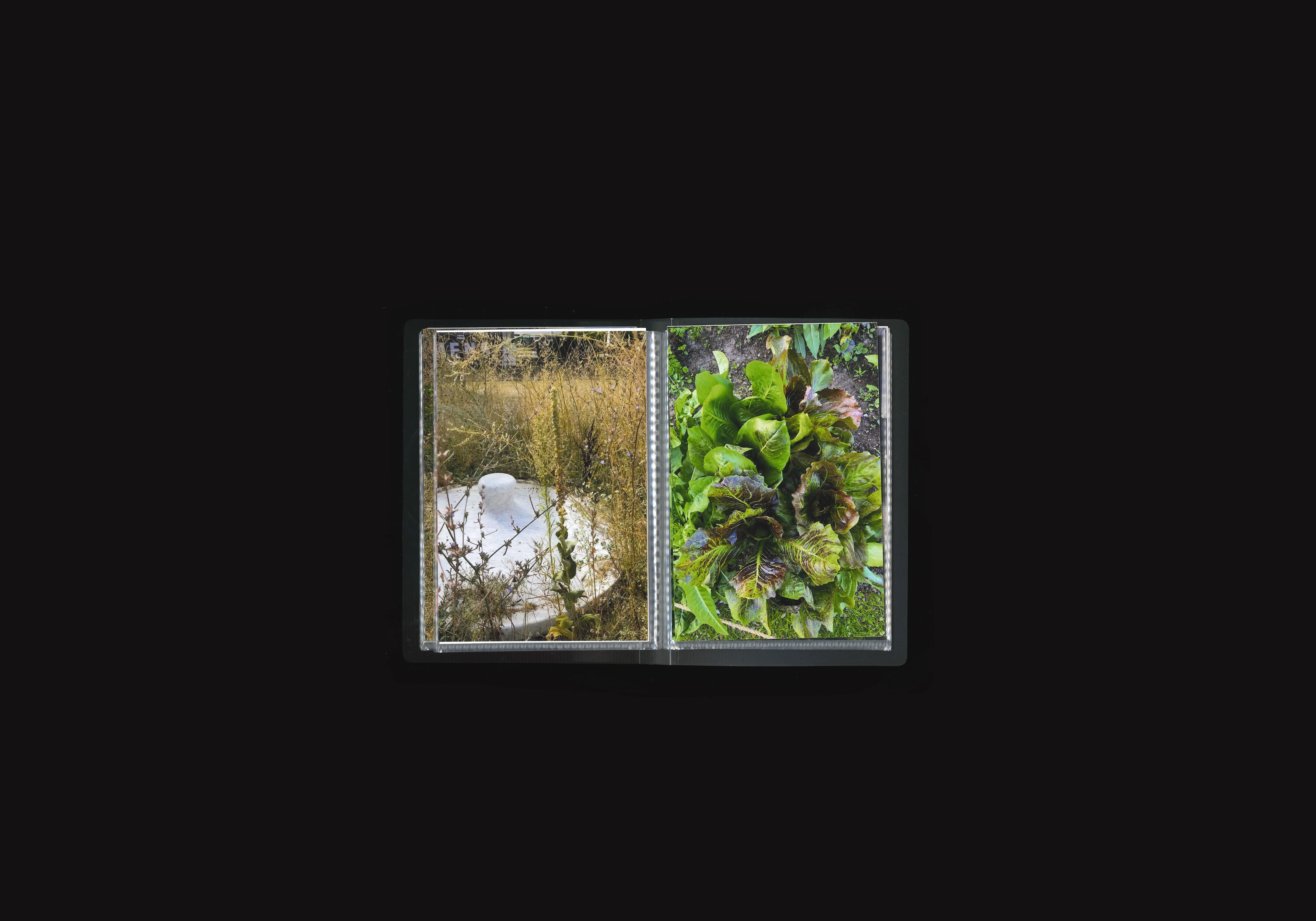 Place to Grow,image 4